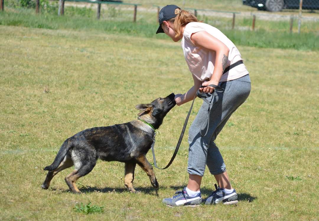 Chodzenia przy nodze – podążanie i utrzymywanie pozycji w ruchu