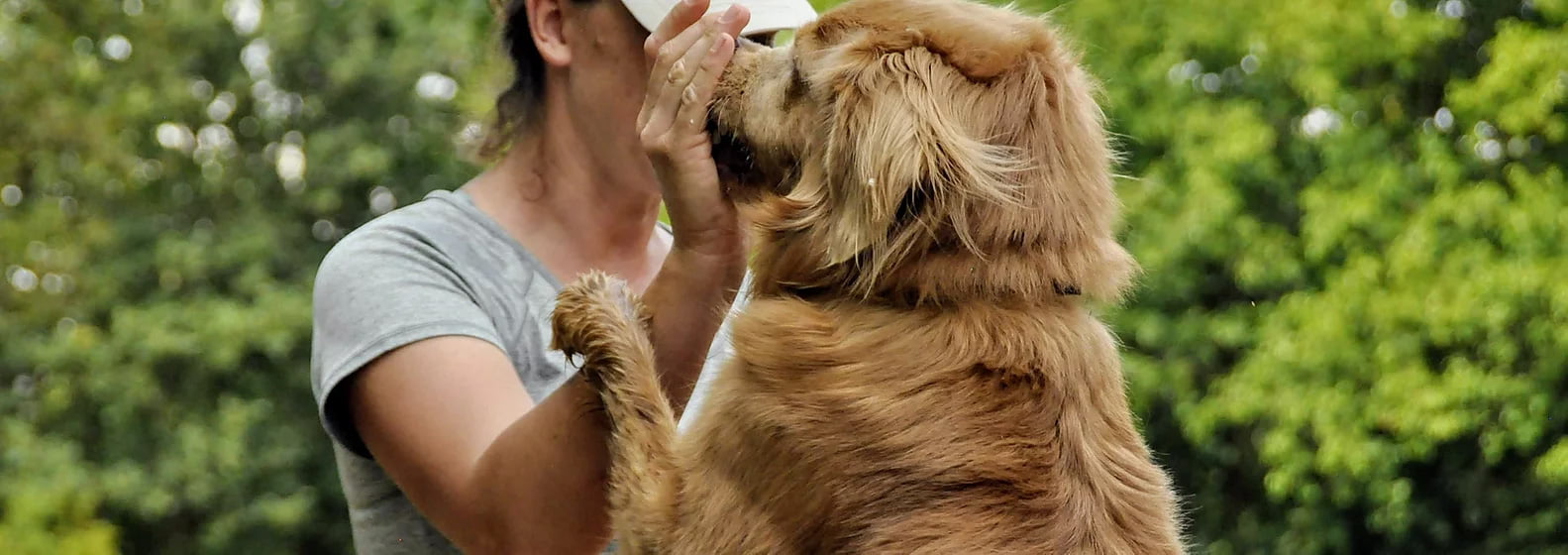 Cave Canem Barbara Grel