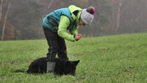 Najczęstsze problemy występujące przy oznaczaniu przedmiotów