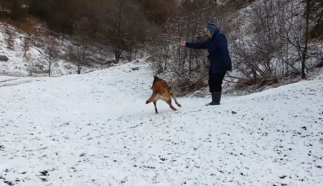 Gestem do mnie mów, początki nauki przeszukania terenu