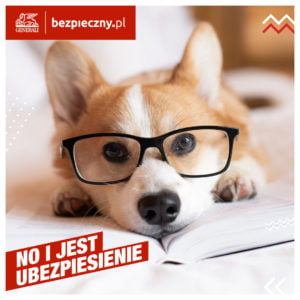 Skorzystaj z ubezpieczenia dla psów