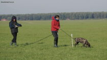 Tropienie sportowe – trening w stylu zawodów