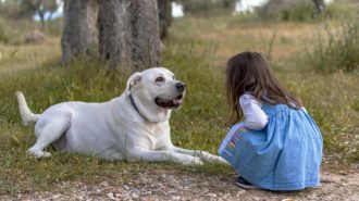 Blue Dog! Bezpieczne relacje między dziećmi a psami