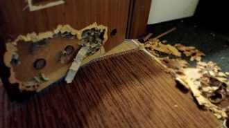 Nauka pozostawania – lęk przed samotnością, lęk przed zamknięciem.