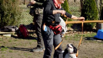 Nosework buduje relację z psem, wywiad z Mają Krasowską