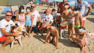 3 psy uratowały przed utonięciem 14 osób! Brawa dla psich bohaterów!