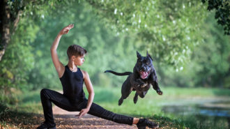 Taniec z psem. You can dance… with dog!