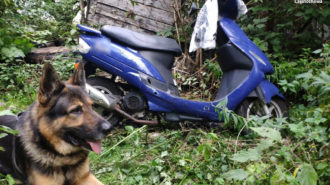 Nie ma mocnych na Kaira! Śląska Policja jest z niego dumna