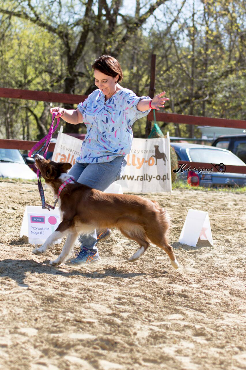 Rally-O Olga Nylec