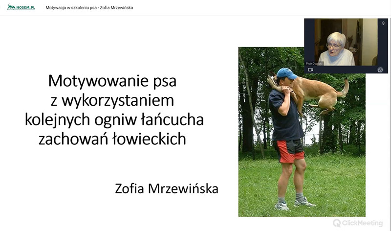 Motywacja w szkoleniu psa