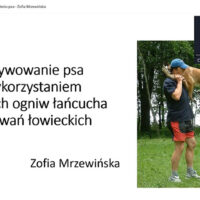 Motywacja w szkoleniu psa