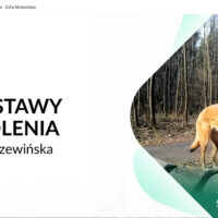 Podstawy szkolenia psów