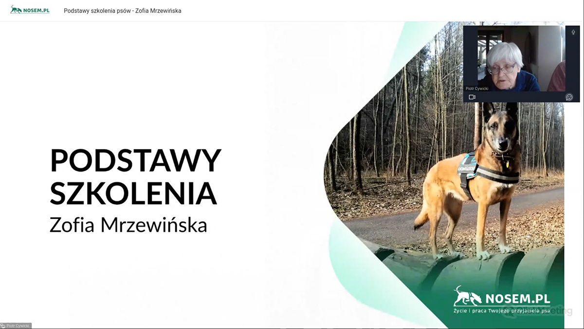 Podstawy szkolenia psów