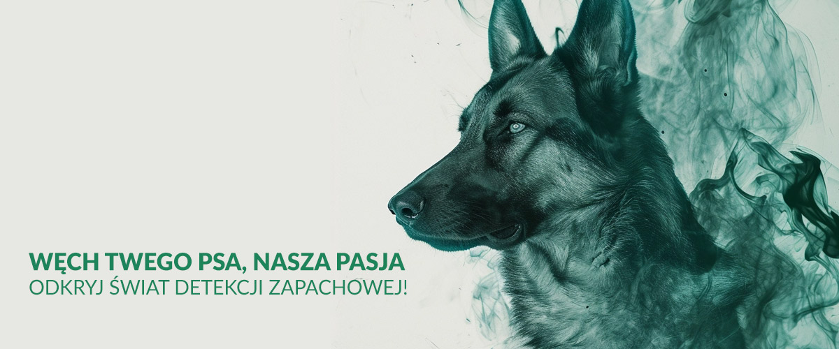 Kurs nosework Kraków - detekcja zapachowa