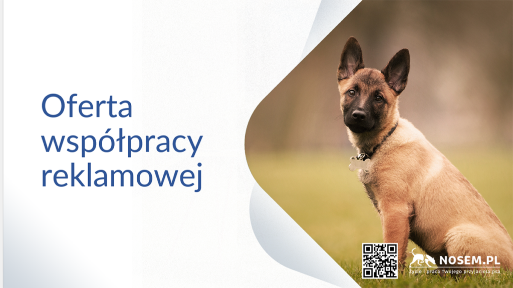 Oferta współpracy reklamowej nosem.pl