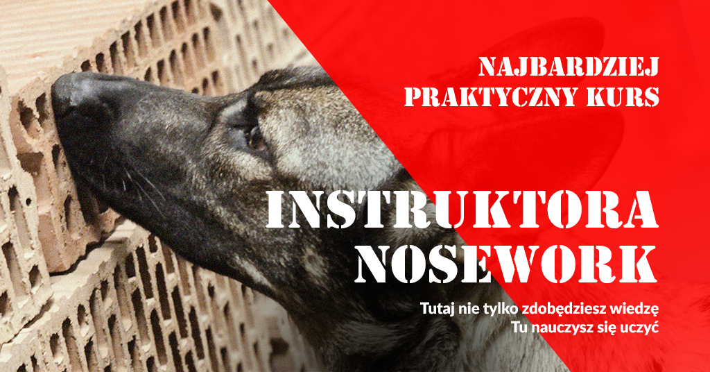 Kurs instruktora nosework